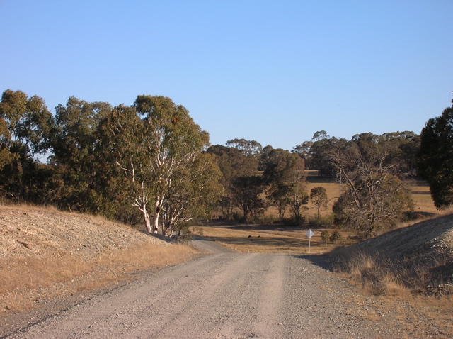 Our road, heading into the neighbour's paddocks