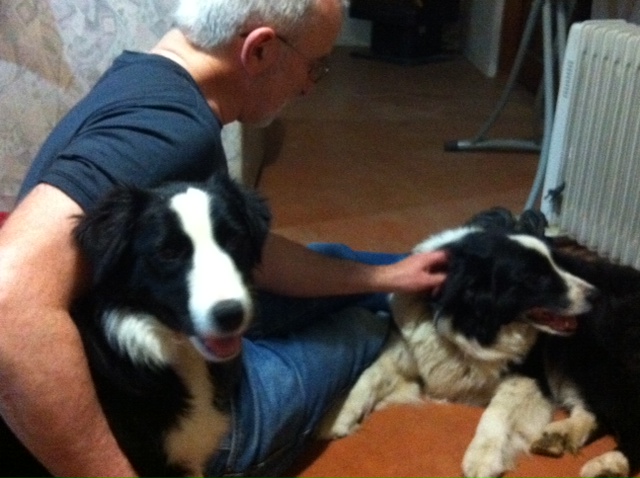Skye, our 'visiting' Border Collie puppie, tucked under Gordon's arm with Tansy getting pats