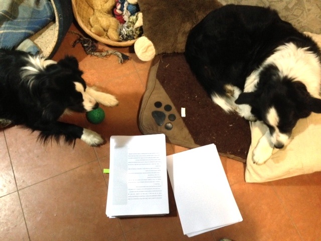 "Read the part again about how Maggie the border collie saves the day, Tansy. I love that part!"