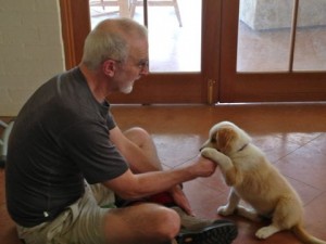 Gordon and Pippin the puppy