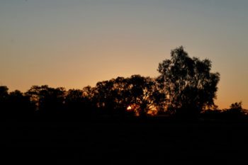 Sunset shadows at Bourke