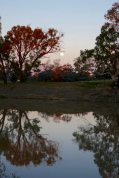 Moonrise over the Darling River